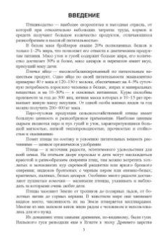 Лебедько, Лозовая, Аржанкова: Птицеводство в фермерских и приусадебных хозяйствах. Учебное пособие для вузов