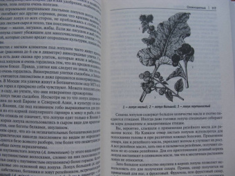 Наталия Замятина: Кухня Робинзона. Рецепты блюд из дикорастущих и декоративных растений