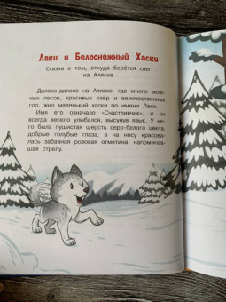 Вероника Медведева: Сказки на сонные глазки. Волшебные сны с малышом Лаки