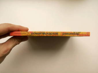 Роман Михайлов: Равинагар
