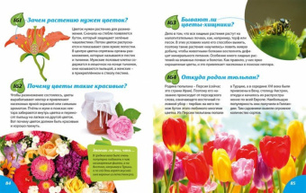 Тамара Скиба: Книга-подарок для маленьких почемучек