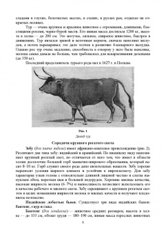 Лебедько, Танана, Климов: Разведение и селекция сельскохозяйственных животных. Учебник
