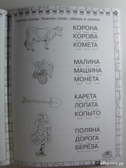 Олеся Жукова: Первая книжка для чтения с крупными буквами наклейками