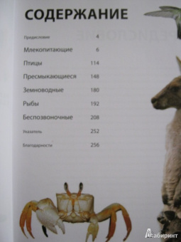 Марк Карвардин: Рекорды животных. Энциклопедия