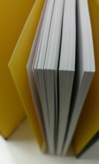 Устинова, Астахов: Дочки-матери