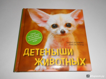 Блэйман, Истланд: Детеныши животных