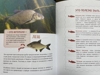Хомич, Мельников, Сидоров: Рыбалка