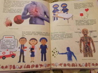 Ольга Соколова: Как устроен человек и зачем ему врачи?