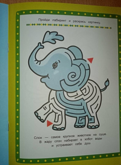 Весёлый зоопарк. Книжка-раскраска