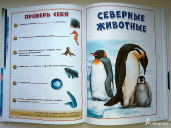 Энциклопедия животных для маленьких почемучек