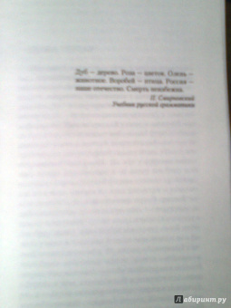 Владимир Набоков: Дар