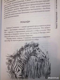 Андрей Буровский: Разные человечества. "Эволюция. Разум. Антропология"