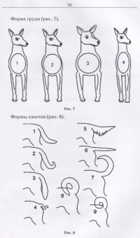 Семенченко, Дегтярь: Служебное собаководство. Практикум. Учебное пособие