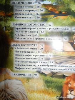 Владислав Щербак: Хочу знать. Львы