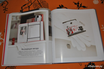 Вероник Ажинер: Вышивка крестиком для настоящих модниц