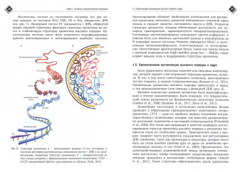 Паткин, Софронов: Эпигенетические изменения как общий механизм заболеваний, старения и токсического действия хим. вещ.