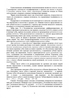 Машкин, Ларионова, Шевнина: Звери России. Учебное пособие