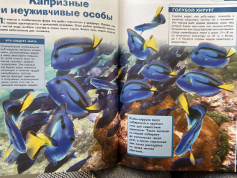 Вайткене, Ликсо, Закотина: Подводный мир