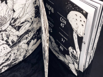 Лаура Эртимо: Ночь. Книга о сне и тайнах темноты