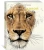 Бен Ротери: Тайны дикой природы
