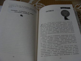 Стефан Гарнье: Думай как кот, действуй как кот