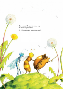 Елена Храброва: Книга цветов. Мальчик-Одуванчик