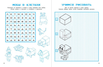 Рихард Айзенменгер: Набор юного майнкрафтера. Первые шаги