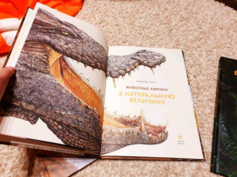 Хольгер Хааг: Животные Африки в натуральную величину