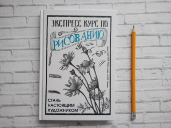 Мистер Грей: Экспресс курс по рисованию. Стань настоящим художником