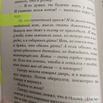 Хиро Арикава: Хроники странствующего кота