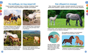 Гийоре, Рейнинг: Лошади