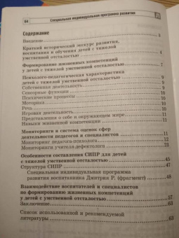 Басангова, Мартыненко, Баранова: Специальная индивидуальная программа развития для детей с нарушением интеллекта