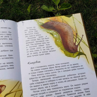 Виталий Бианки: Сказки