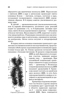 Вракин, Сидорова, Панов: Практикум по анатомии и гистологии с основами гистологии и эмбриологии сельскохозяйственных животных