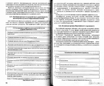 Основы права европейского союза. Схемы и комментарии