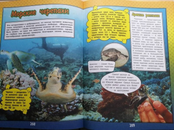 Ликсо, Кошевар: О подводном мире