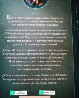 Милена Завойчинская: Отель потерянных душ. Книга первая. Госпожа управляющая