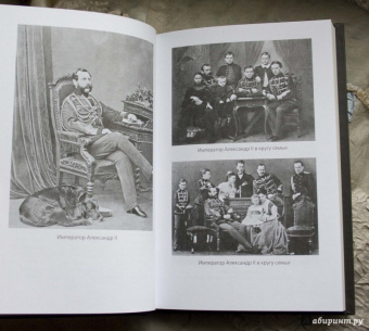 Михаил Вострышев: Судьба венценосных братьев. Дневники Великого Князя Константина Константиновича