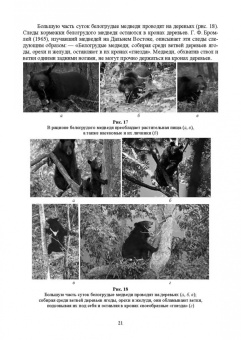 Анатолий Суворов: Основы полевых наблюдений. Следы жизнедеятельности зверей и птиц. Учебник для СПО