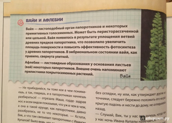Валентина Мальцева: Открываем тайны леса