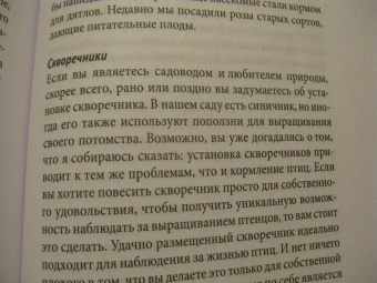 Петер Вольлебен: Тайные знаки природы. Как стать погодным детективом и читать приметы