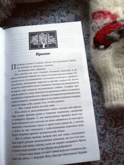 Анастасия Гор: Рубиновый лес