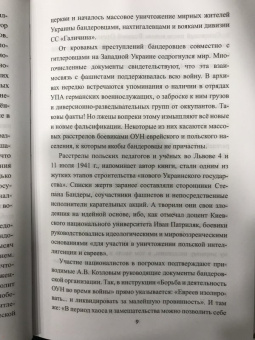 Андрей Козлов: Украинская повстанческая армия