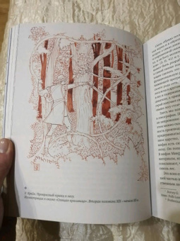 Владимир Пропп: Исторические корни волшебной сказки