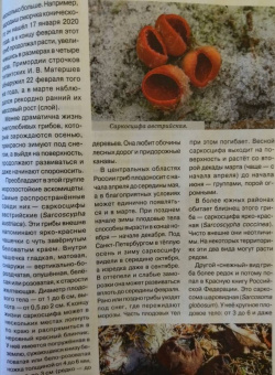 Журнал "Наука и жизнь" № 1. 2022