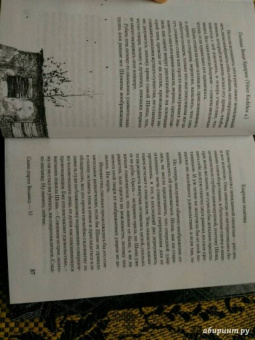 Макс Фрай: Сказки старого Вильнюса VI