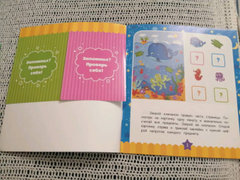 Тренируем память и внимание. 5-6 лет. Книжка с наклейками