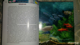 Лада Александрова: Хочу знать. Аквариумные рыбки