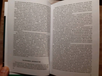 Владимир Новиков: Высоцкий