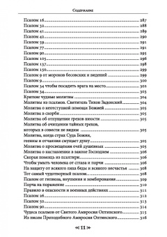 Олег Чуруксаев: Школа Ворона и Волка. Том 6